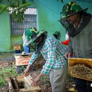 ��Ҳ�磺�м��˼�ͥ�״����顰�䡱�յ�ϲ��