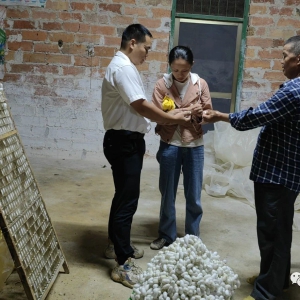 ��������ح�����磺�������� �̾�Ⱥ���¸��¡�˿·��