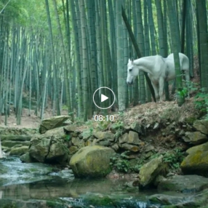 �������˻ᡢ�ǲ��˻��ڼ�չ����Ŀ |�����ϡ����¡�