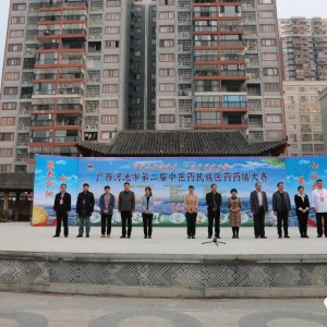 �ӳ��еڶ�����ҽҩ����ҽҩҩ�Ŵ����ڴ󻯿�Ļ