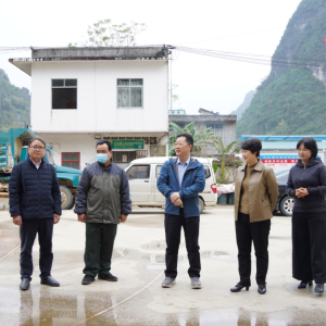 �����µ��󻯼��ָ��������˹���