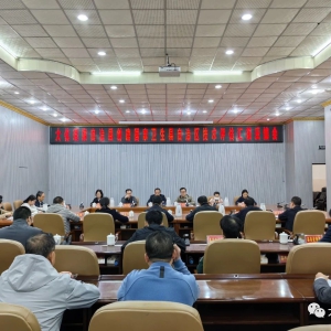 ������ר���鵽�󻯿�չ���������������ֳ���������