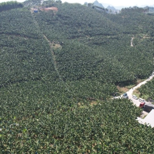 �������ح��500��Ķ�㽶ϲ�����