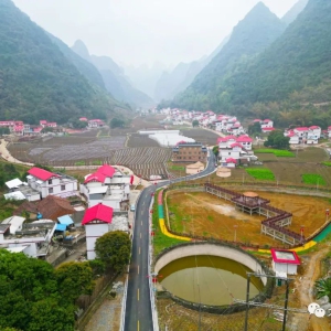 ������ح�󻯡���+�����ں������������