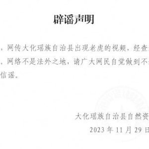 ��ҥ����