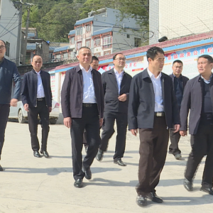 �쵤�����󻯵���������˺������ί������չ���