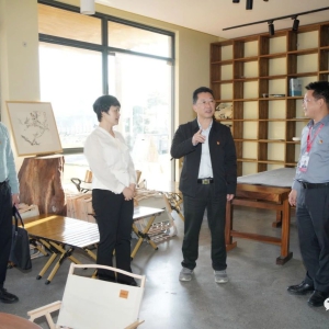 �����µ��󻯿�չ���л