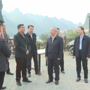 ��������ͨ�������������ɵ��󻯵���