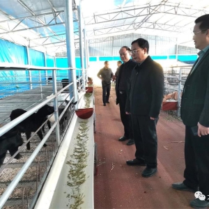 ��ʤ���������ɽ�����ţ��ֳ����