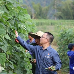 �󻯰���حΤ���ܣ��Ӻ�פ�塰�������� �ܳ���չ�����ٶȡ�