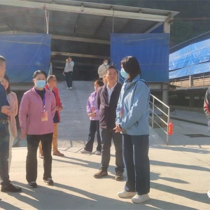 ���������˴�������ݵ��󻯿�չר��