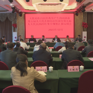 ����֯�˴������չ2023�꼯���Ӳ�