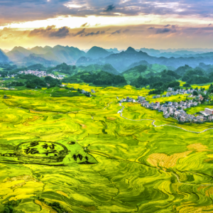 ף�أ�����������������������