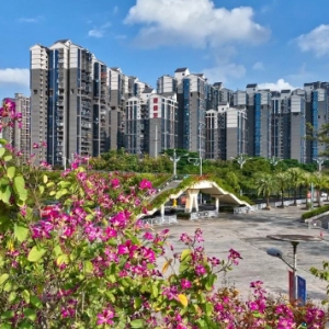 ϰ��ƽ������ح��г���� �Ҹ����������߽������������������