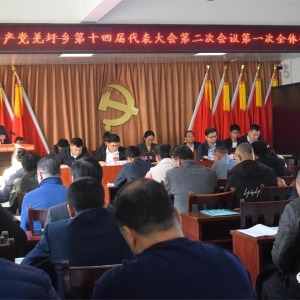 Ǽ���磺�ٿ������� ���ľ�����ı��չ