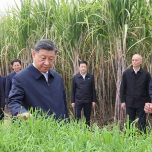 ϰ��ƽ�ڹ��������п������