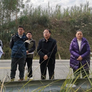 ��ʤ�����򶽵����ر�������