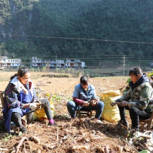 �߽�ɽ�忴��չح������ΰƽ�壺�ú�ź��ΪȺ�������¸��ķ���