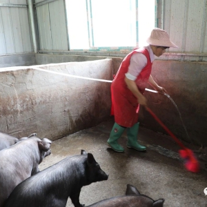 �������ح��̲����ũ��רҵ�����磺��ɽ����ֳ�̾��¸�·