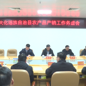 ���������ٿ�ũ��Ʒ�������������