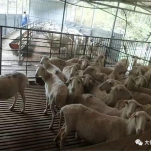 ����ũ���У�������������������������ҵ����