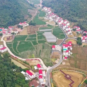 ������������ǿ�������Ĵ�������