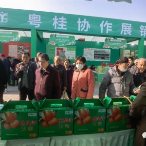 �󻯡�ȭͷũ��Ʒ���������ũ����