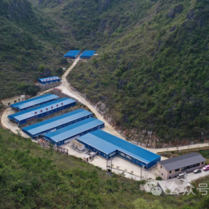 ����Э��حȫ��ҵ���������� �߰�Ū������Ʒ�ơ���ɽ���ǡ�