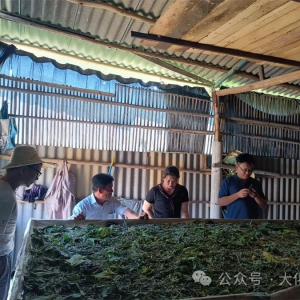 ��̲���ƶ���ҵ��չ������