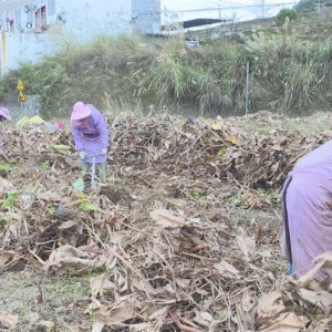 �������ح��̲������壺��ź��ҵ��ũ����