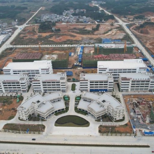 �´��߻���ح�󻯣��۽��ش���Ŀ���� �ƶ����򾭼����������Ϸ�չ