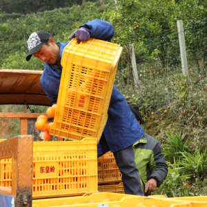 �´��߻���ح����������壺�̷ָ���Ϊ���������������