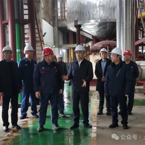 �쵤�����󻯶�����ȫ��������