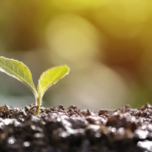 ��������Ĵ����й���ɽ�Ӹ��ࡿ����