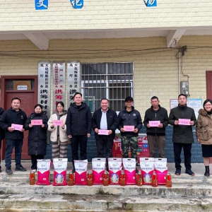 �����й��ڡ�����ح����Ͷ�ʴٽ��ֿ�չ����ǰο�ʻ