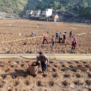 �´��߻���ح���ڴ����� ����ũ��æ