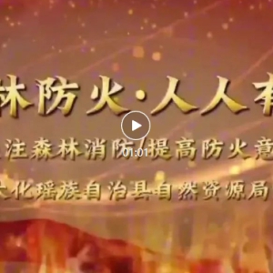 ɭ�ֻ��־�ʾ����������Ƭ