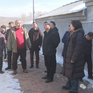 ѧ���� ı���� ץ��ʵح�����ʶӵ�����ʡ�����п�չ2024���������ʡ��紺�ж���