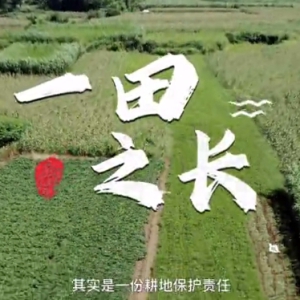 ���ر����շ�����حһ��֮��