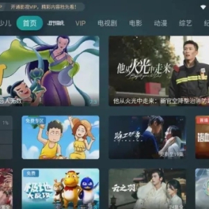 �����ޡ��շѲ�����������GITV������TV��â��TV������һ�׶���Ч