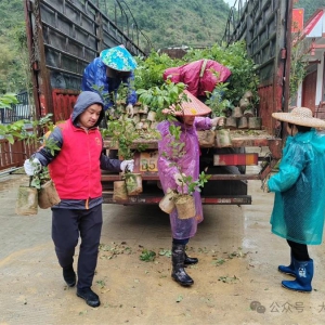 �ź��絤��壺ֲ���������¡����� ��������������