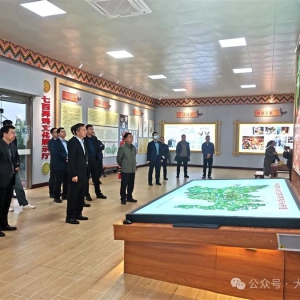 ��ũͶ�����鵽�󻯵���