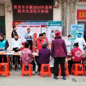 �������ٴ�����ɭ�֡�����ǽ��