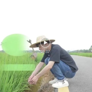 ���г��ල�����֣��������ͼ�ܻ��� ����г������Ч