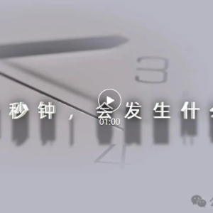 ������������ح2024�걣�ܹ�������Ƭ��һ���ӡ�