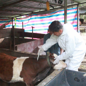 ��̲�򣺴�ô�����Ԥ���롱 ������������������