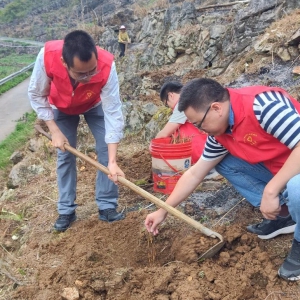 �����磺��ֲܿ���� �����ü�԰