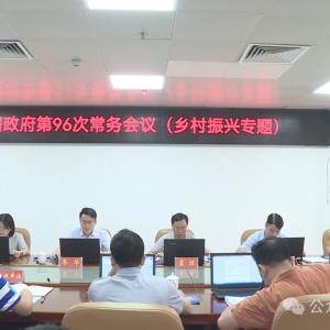 ��ʤ�����ٿ������������