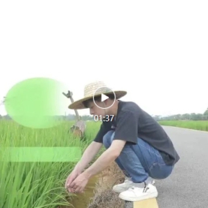 ���ر����շ�����ح�龰�磨���