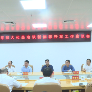 ������ڵ����ɷ����޹�˾�쵼һ�е���Ǣ̸����